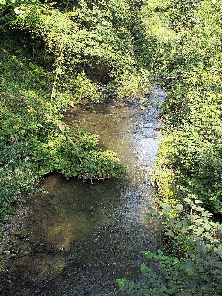 Neandertal Düssel
