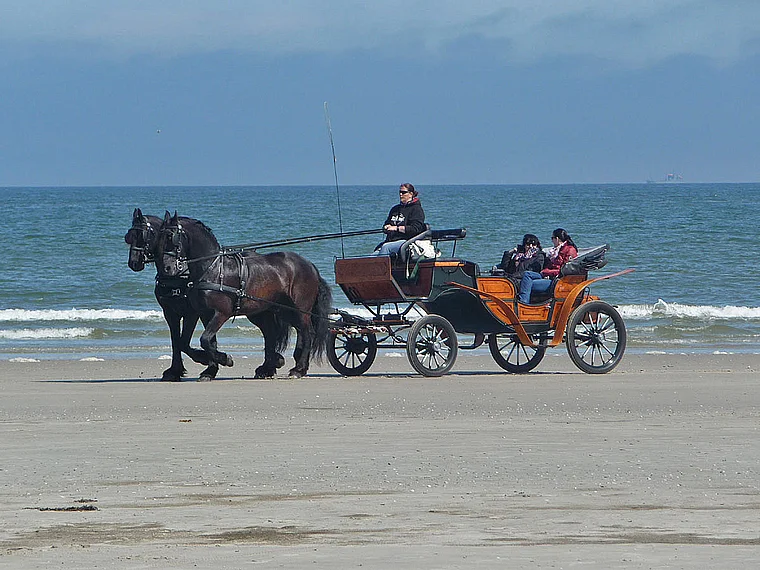 Juist Strand Pferdekutsche
