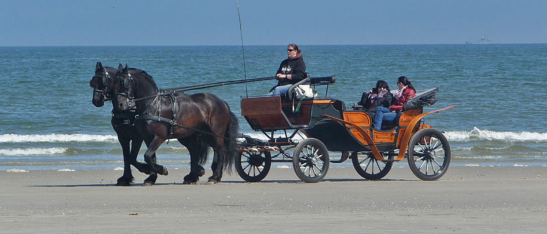 Juist Strand Pferdekutsche