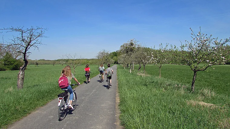 Stockstadt (Rhein) Kühkopf Apfellehrpfad