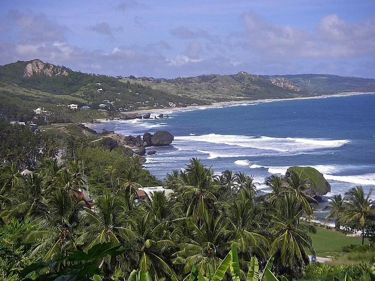 Barbados Bucht mit Palmen