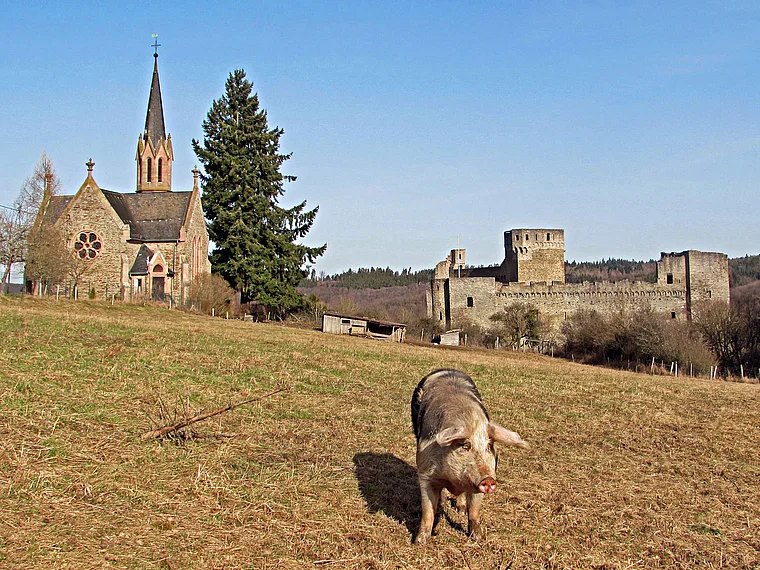 Hohenstein (Taunus) Kirche und Burg