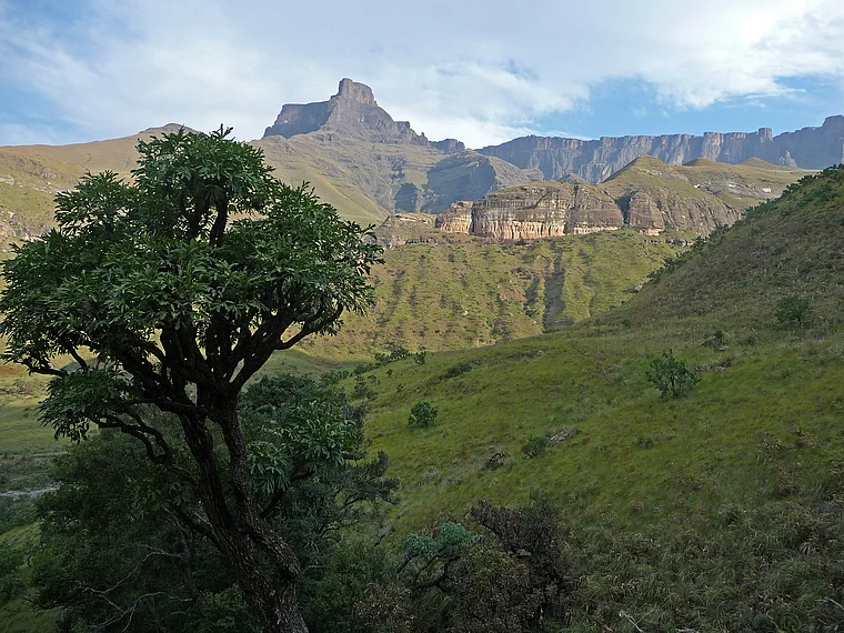  Südafrika Drakensberge Amphitheater von fern