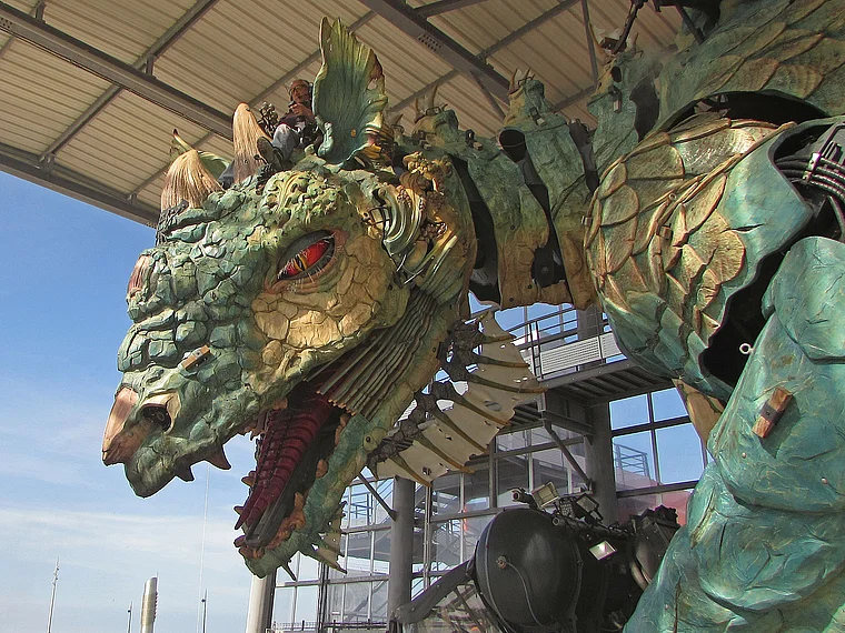 Calais Drache Maul