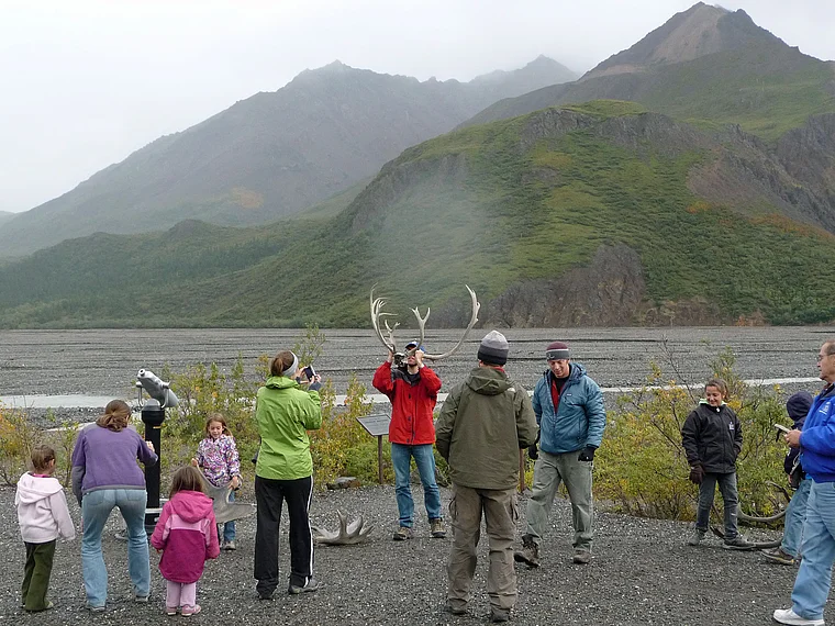 Alaska Denali National Park Tourist mit Wapiti Geweih
