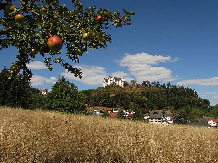 Fischbachtal Schloss Lichtenberg von fern