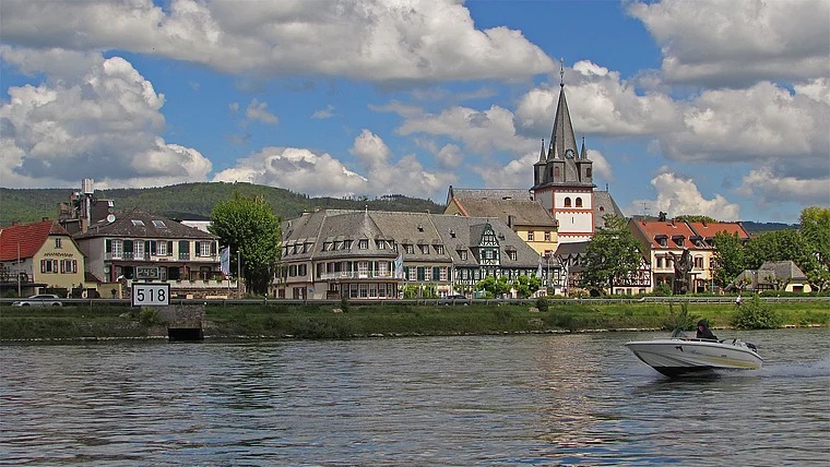 Oestrich vom Rhein