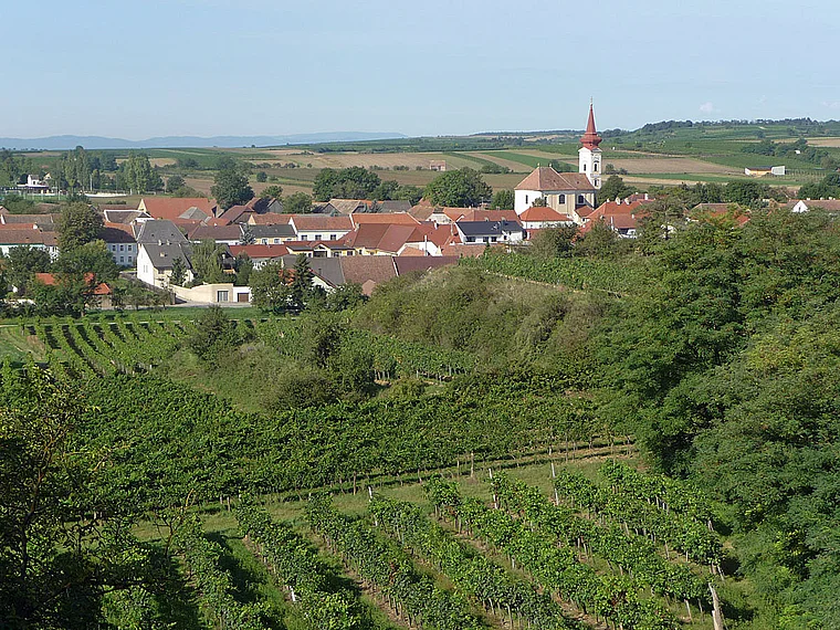 Weinviertel Großriedenthal Blick über Weinberge