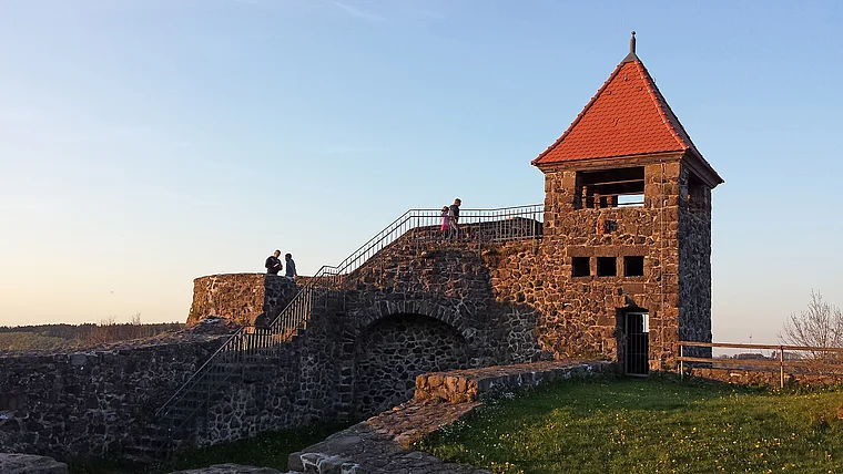 Ulrichstein Burg