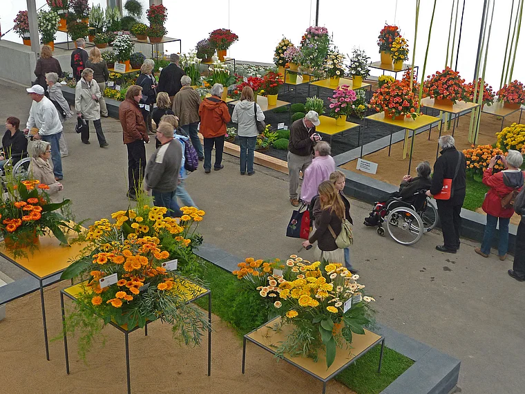 Koblenz Bundesgartenschau Blumenhalle innen