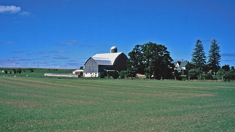 Kitchener Ontario Mennoniten Farm