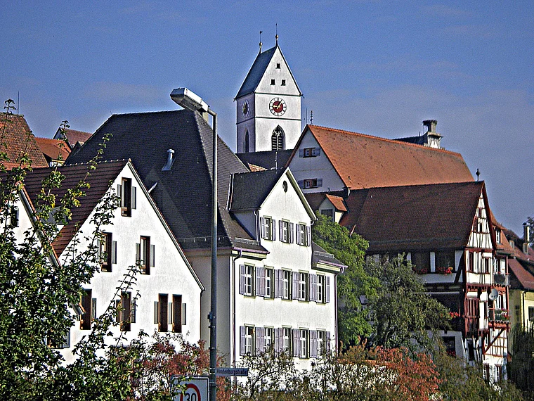 Riedlingen Totale