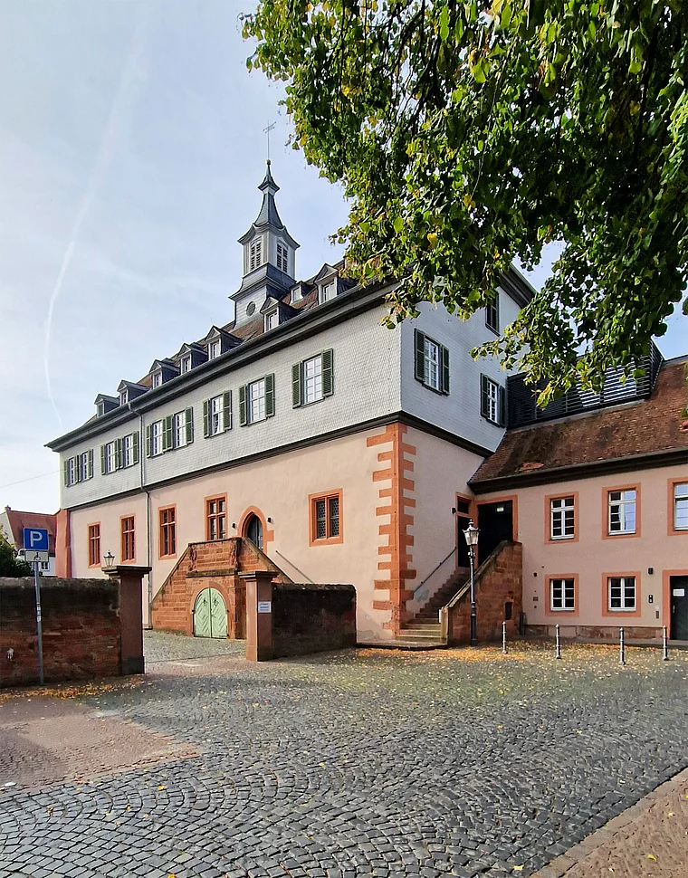 Groß Umstadt Pfälzer Schloss Rückseite
