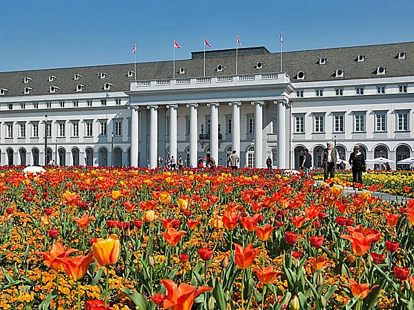 Koblenz Bundesgartenschau Schlosskrone rote und gelbe Tulpen