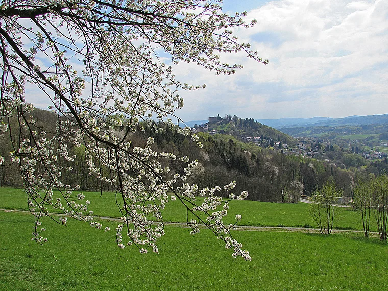 Lindenfels (Odenwald) Frühling