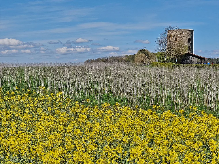 Pohlheim Grüninger Warte