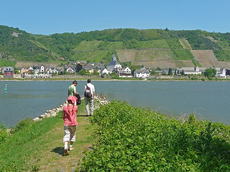 Andernach Namedyer Werth Blick auf Leutesdorf