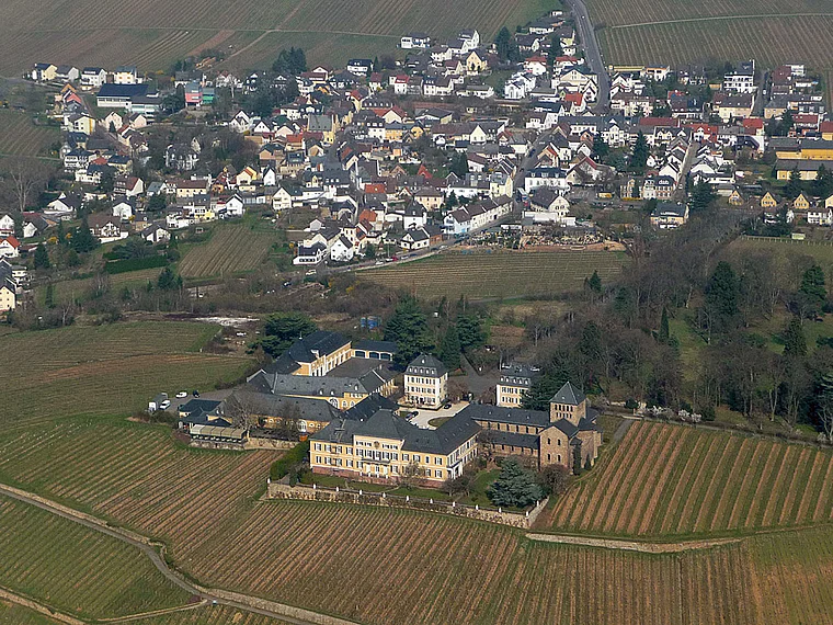 Geisenheim Johannisberg Vogelperspektive