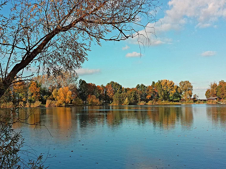 Riedstadt Riedsee Herbst