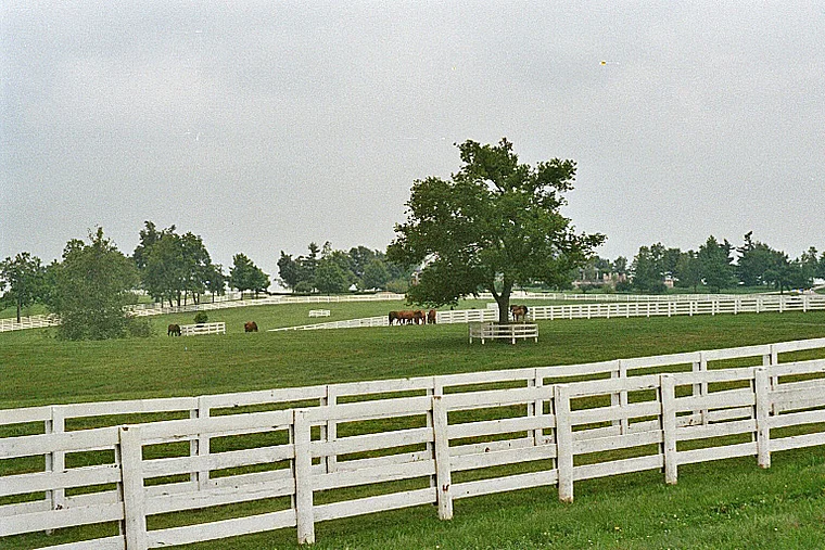 Kentucky weiße Weidezäune