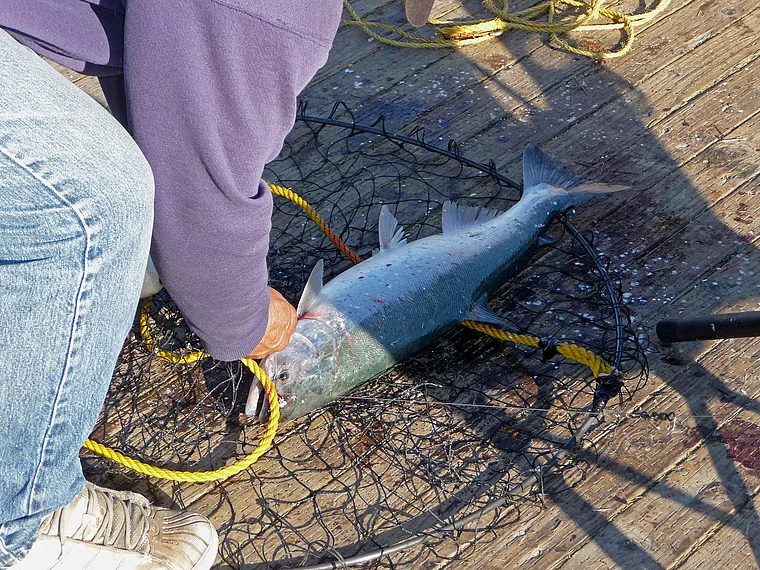 Alaska Valdez Angler mit Lachs groß