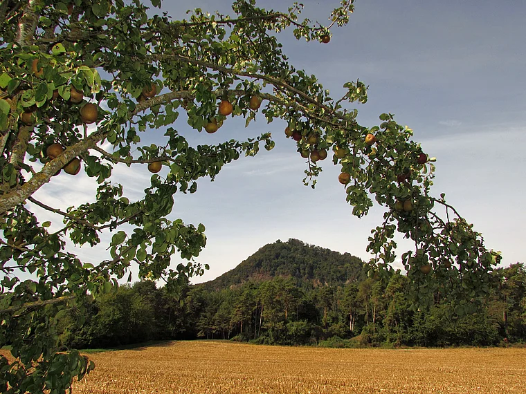 Hohenhewen Blick von Welschingen