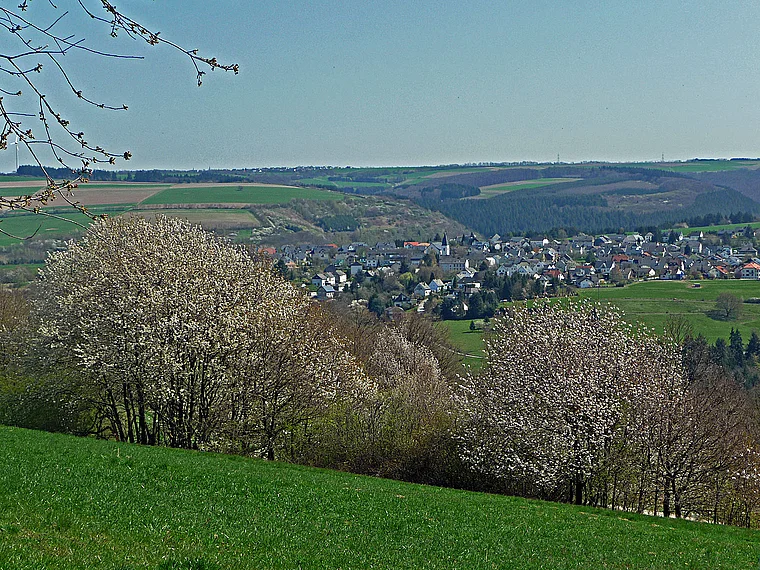 Hunsrück Morscheid von fern