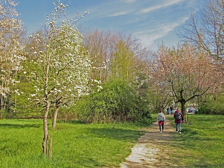 Schwalbach (Taunus) Arboretum Frühling