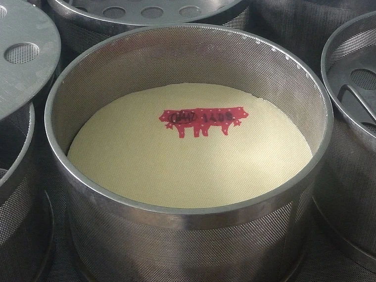 Thrugau Tilsit Käserei Schmelztiegel
