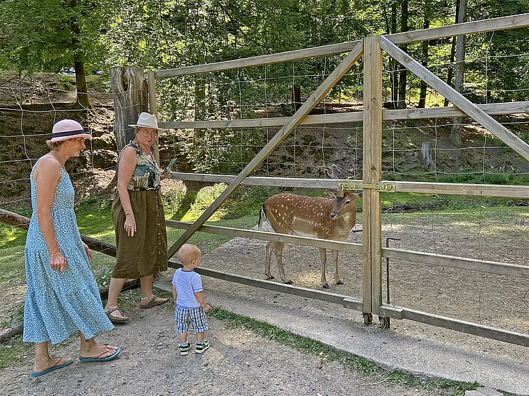 Erbach (Odenwald) Wildpark