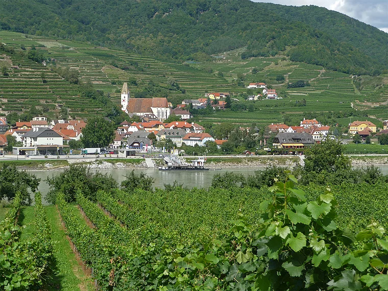 Wachau Weinbau