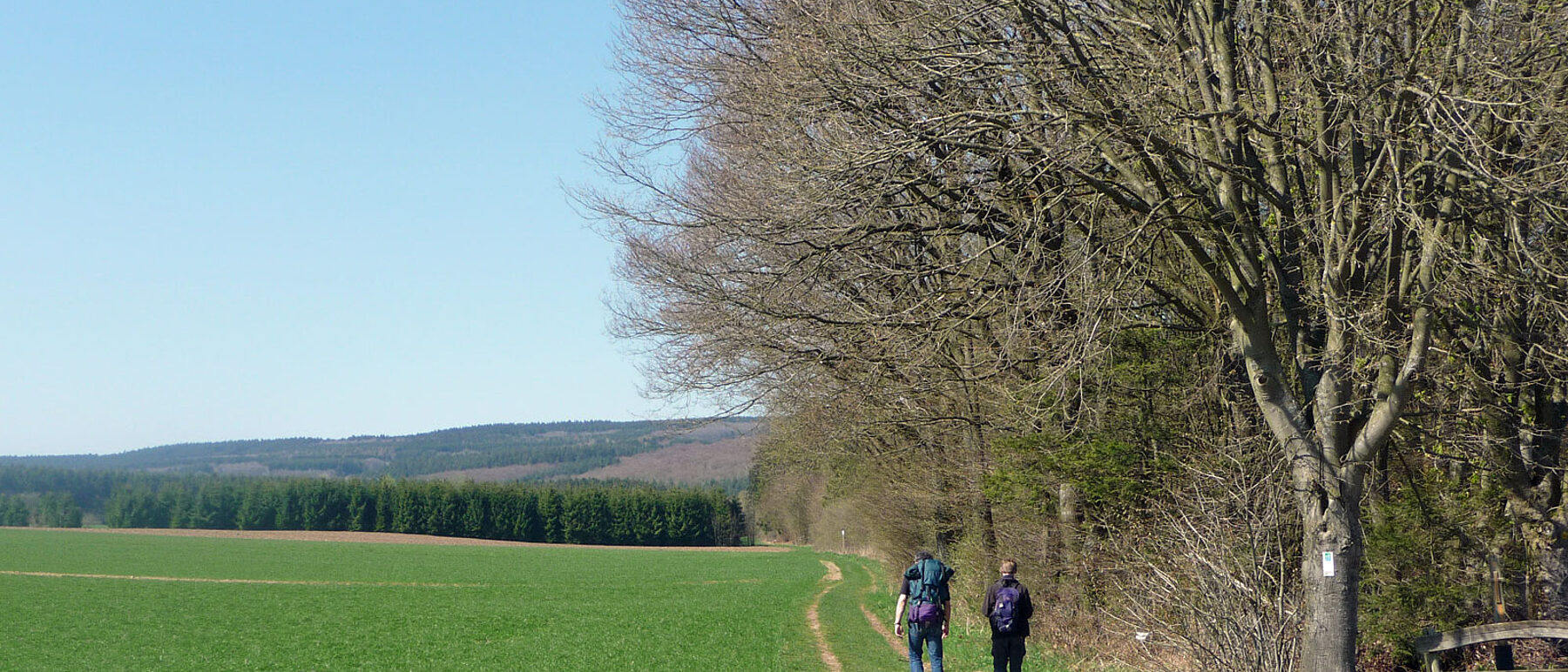 Saar-Hunsrück-Steig