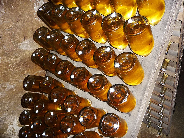 Weinviertel Riegelhofer Sekt Flaschengärung