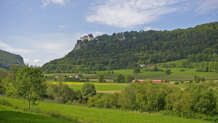 Langenbrunn Donau Burg Werenwag von fern