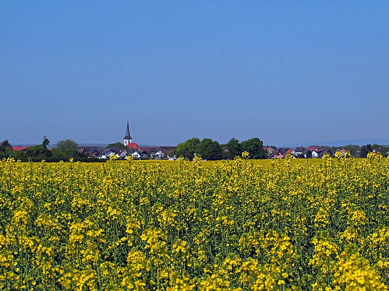 Riedstadt Leeheim von fern