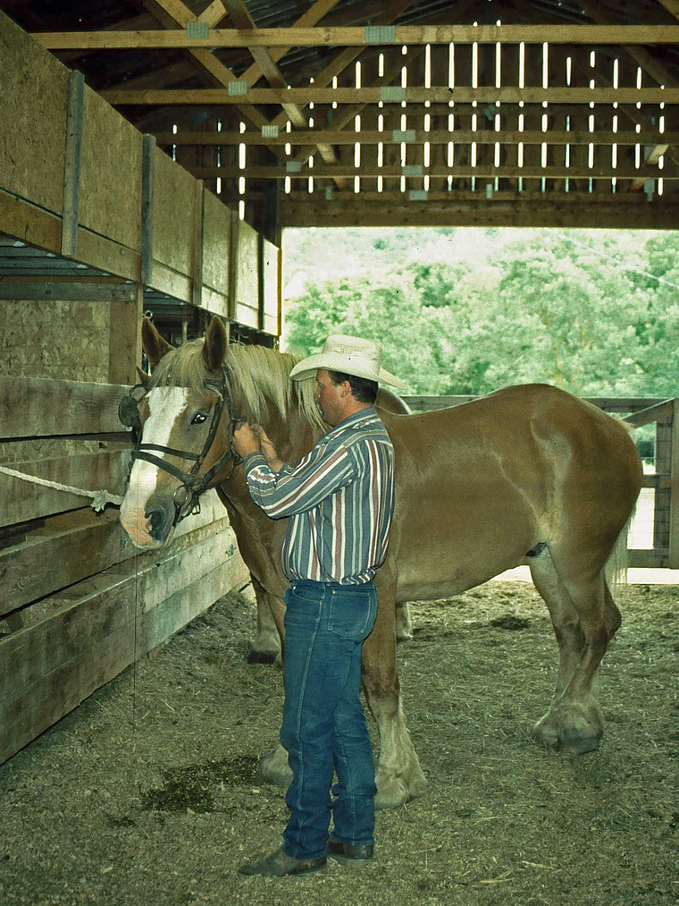 South Dakota Whitewood Creek Ranch Scott Crowser mit Pferd