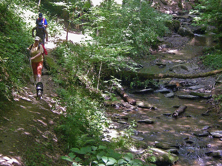 Hunsrück Ehrbachklamm mit Wanderern