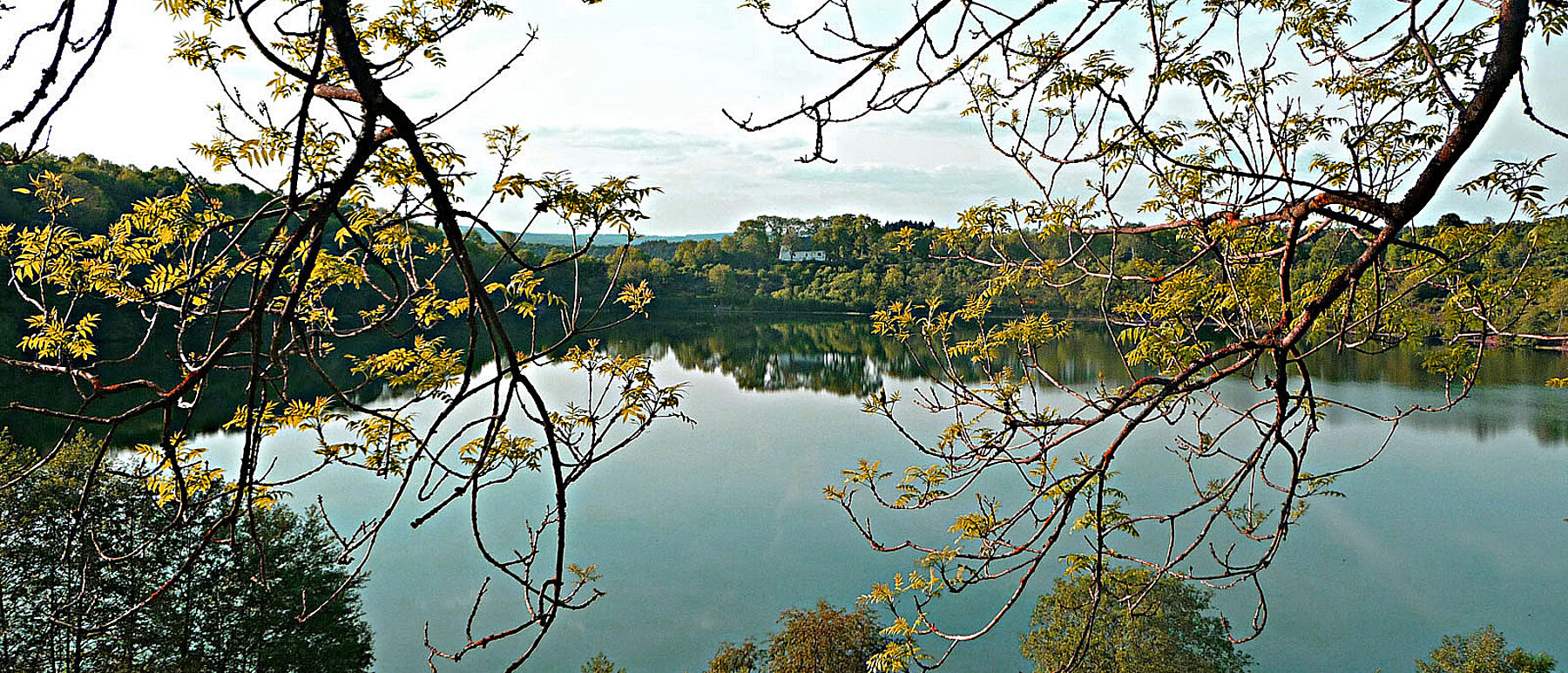 Vulkaneifel Totenmaar Frühling