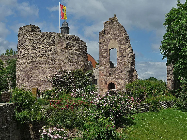 Dreieich Dreieieichenhain Burg