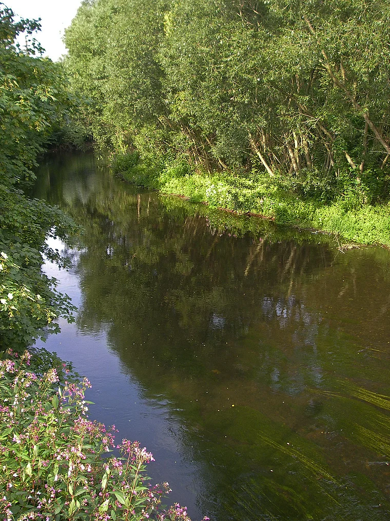 Quedlinburg Bode