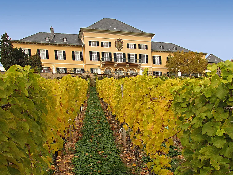 Geisenheim Schloss Johannisberg halbnah