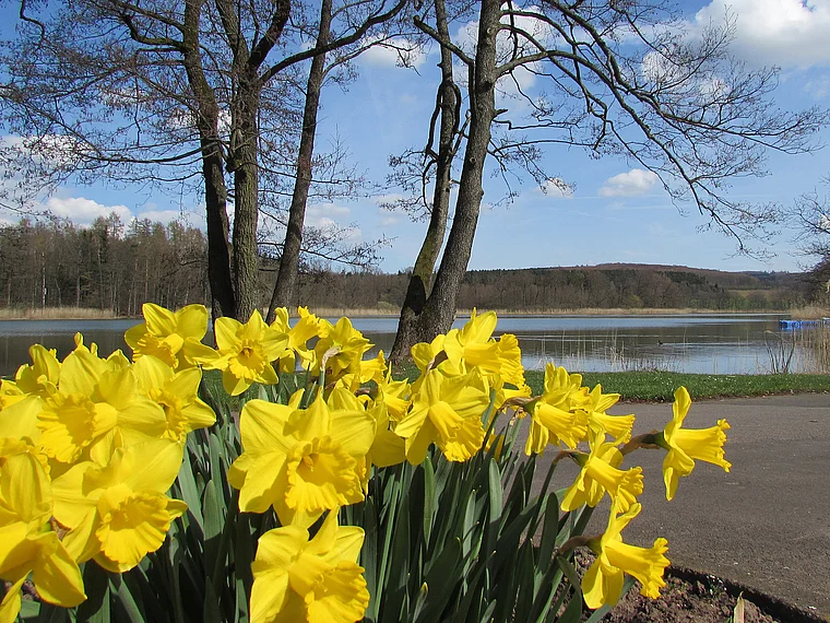 Gederner See Frühling