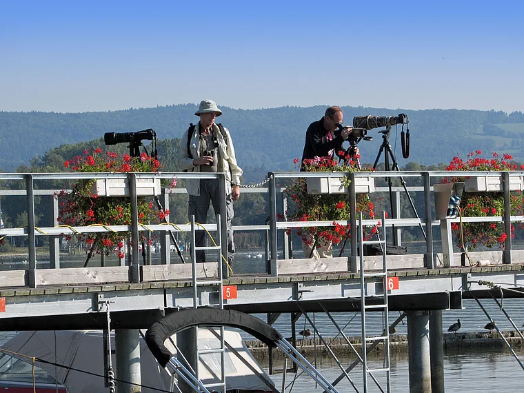Moos Bodensee Fotografen