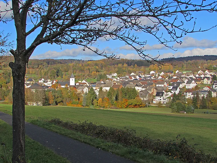 Waldbrunn Lahr von fern