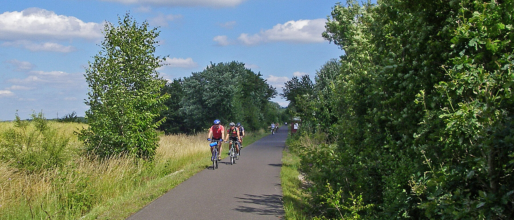 Hunsrück Schinderhannes Radweg mit Radfahrern