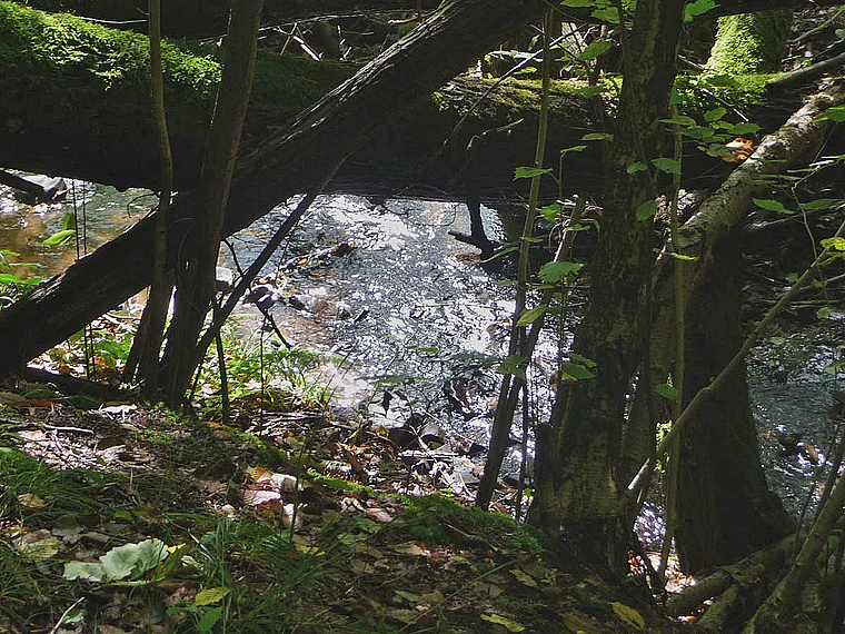 Dilltal Oberlauf