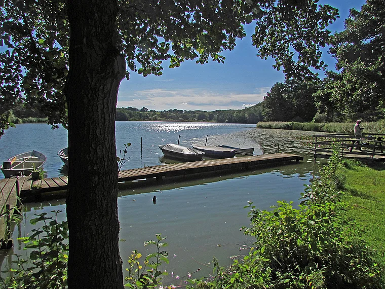Harrislee Niehuussee
