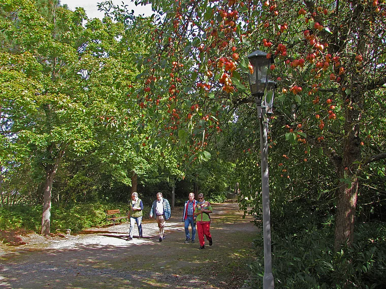 Bad Emstal Kurpark