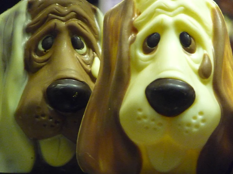 Brügge Schokoladenhunde