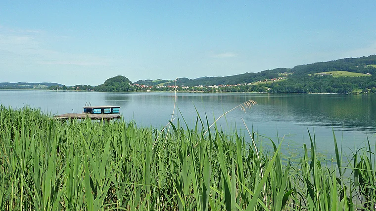 Obertrumer See